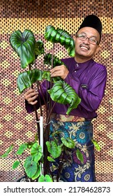 Handsome Man In Malay Traditional Cloth Wearing Name Tag MOHD AZAMI With Colocasia Pharaoh Mask.  Colocasia Pharaoh Mask Is Aquatic Plant Close Up,colocasia Esculenta,tropical Plant In Rain Forest.