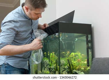 109,328 Aquariums Fish Tanks Images, Stock Photos & Vectors | Shutterstock