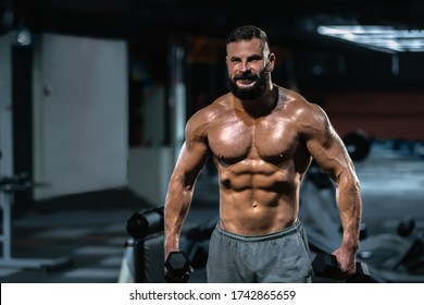 Handsome Man Perfect Muscular Body Training Stock Photo 1742865659 ...