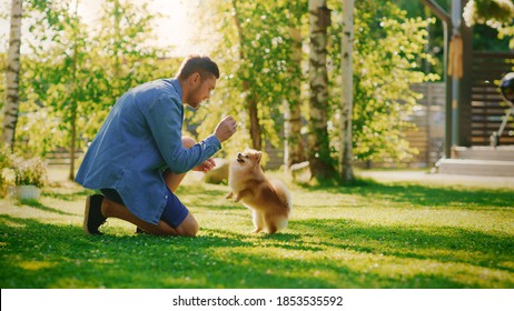Handsome Man Plays with Cute Little Pomeranian Dog, Training, Teaching Tricks and Commands in the Suburb Backyard. Sunny Day with Green Grass Having Fun with Man's Best Friend.