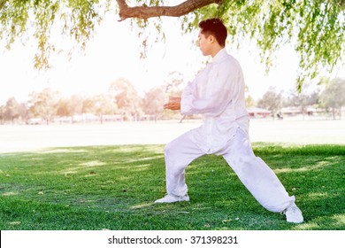 Handsome Man Practicing Thai Chi Stock Photo 371398231 | Shutterstock