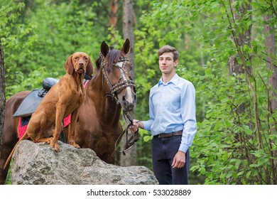 Handsome Man With A Red Horse And A Dog.