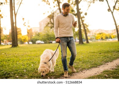 Handsome Man Texting On The Phone And Walking The Dog.