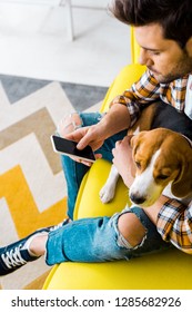 handsome man using smartphone while sitting on sofa with dog