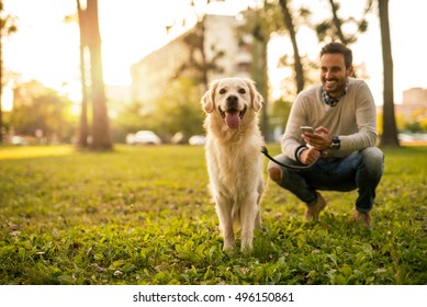 Handsome Man Walking His Dog While Texting Outdoors.