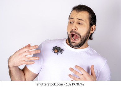 A handsome man in white T  shirt white background screaming  in his hands spider  frightened  Frightened spider  Screaming man and spider his shoulder
