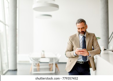 Handsome mature businessman  with mobile phone in the office