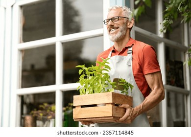 Handsome Mature Gardener Man Carrying Crate With Plants Outdoors, Smiling Elderly Gentleman Wearing Apron Holding Potted Greens, Going To Work In Backyard Garden, Enjoying Planting, Free Space - Powered by Shutterstock