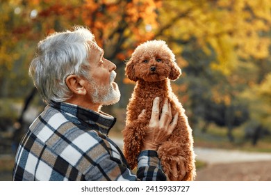 Handsome mature gray-haired man holding dog in his arms in park. Walk with your pet in the fresh air. Grandpa playing with dog. - Powered by Shutterstock