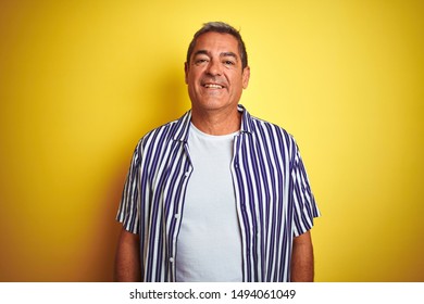 Handsome middle age man wearing striped shirt standing over isolated yellow background with a happy and cool smile on face. Lucky person. - Shutterstock ID 1494061049
