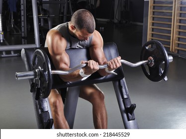 Handsome Muscular Male Model With Perfect Body Doing Biceps Exercise