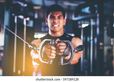 9,885 Cable gym Images, Stock Photos & Vectors | Shutterstock