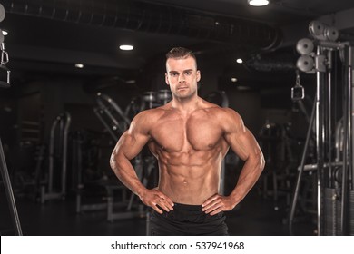 Muscle Torso Hd Stock Images Shutterstock