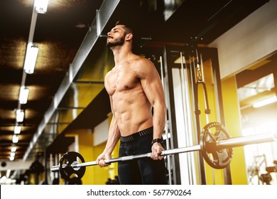 Handsome Muscular Man Working Out At Gym.