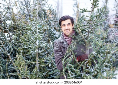 Handsome Russian Man Shopping For Christmas Tree Outdoors Market