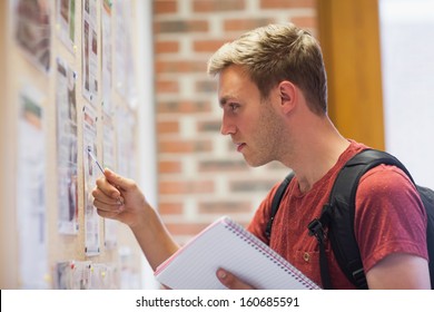 Handsome Student Studying Notice Board In School