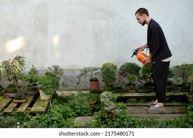 A handsome young guy watering bonsai tree in bonsai garden  - Powered by Shutterstock