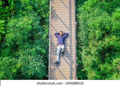 Handsome Young Indian Man Relaxing At Wooden Bridge On Top Of Green Tree Forest/ Top View Man Lay Down