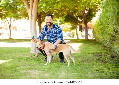 Handsome Young Man With A Beard Playing Ball With His Dog At A Park And Smiling