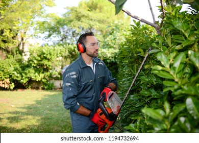 handsome young man gardener trimming hedgerow in a garden park outdoor - Shutterstock ID 1194732694