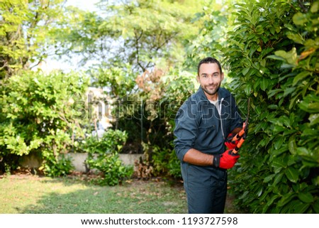 Similar – Image, Stock Photo Gardener trimming a hedgerow using a hedge trimmer in the garden of a customer with earmuffs on for protection