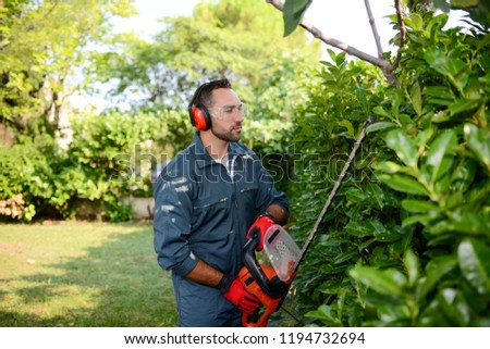 Image, Stock Photo Gardener trimming a hedgerow using a hedge trimmer in the garden of a customer with earmuffs on for protection