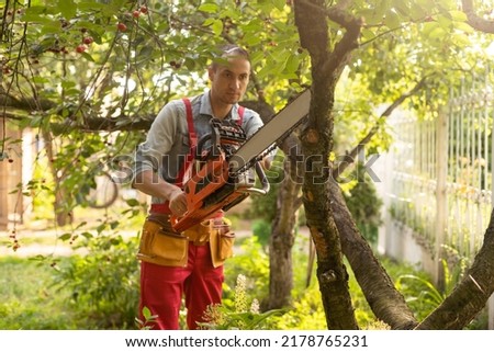 handsome young man gardener trimming hedgerow in a garden park outdoor.