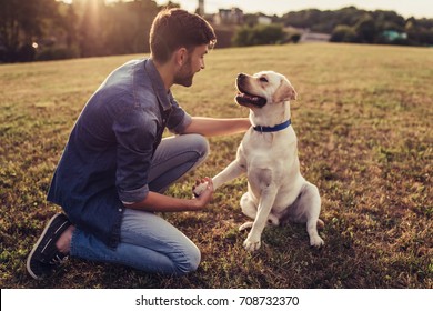 Handsome Young Man With Labrador Outdoors. Man On A Green Grass With Dog. Cynologist