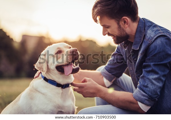 屋外で働くハンサムな若い男性 緑の草の上に犬ラブラダー レトリーバーを持つ男性 の写真素材 今すぐ編集