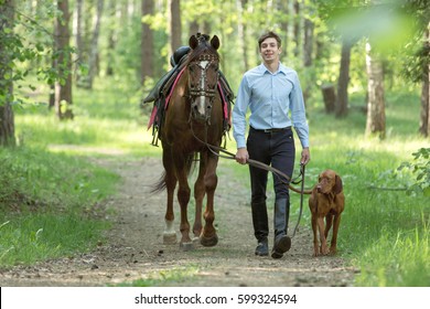 Handsome Young Man Walking With A Horse And A Dog.