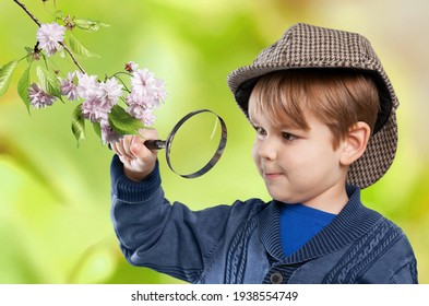 Handsome Young Naturalist Scientist Child Explores Plant Life With Magnifying Glass.