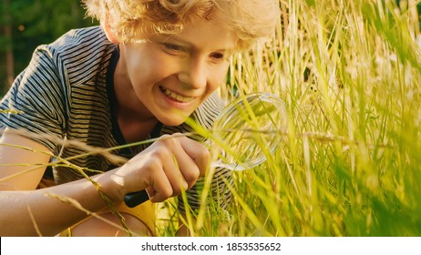 Handsome Young Naturalist Scientist Explores Plant Life and Insect Life with Magnifying Glass. Smart Curious Boy Botanist and Entomologist Explores Nature. Close-up Portrait of Child with Curly Hair - Powered by Shutterstock