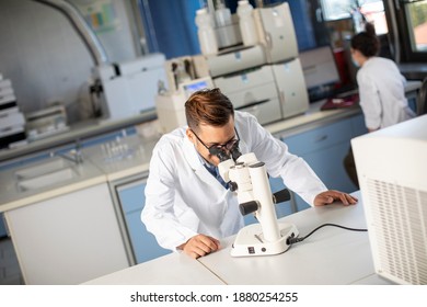 Handsome Young Scientist In White Lab Coat Working With Binocular Microscope In The Material Science Lab