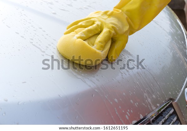 Hand-wearing gloves are using sponge to clean\
the body of the\
vehicle.