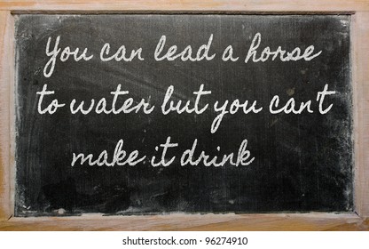 Handwriting Blackboard Writings - You Can Lead A Horse To Water But You Can't  Make It Drink