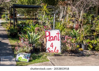 Handwritten 'plants For Sale' Sign In The Street. Homegrown Plants And Flowers Pop Up Shop Near The Residential House On The Street. Self-employment Business And Hobby