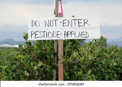 A handwritten sign warns that the berry crop has been sprayed with pesticide/Crops Sprayed with Pesticide/A handwritten sign warns that the berry crop has been sprayed with pesticide