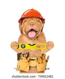 247 Dog in hardhat Stock Photos, Images & Photography | Shutterstock