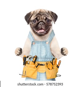 handyman-dog-worker-tool-belt-260nw-578752393.jpg