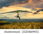 Hang glider trike wing flies low over blooming sunflower field on the sunset. Dream of flying. Beauty of flying and learning to fly