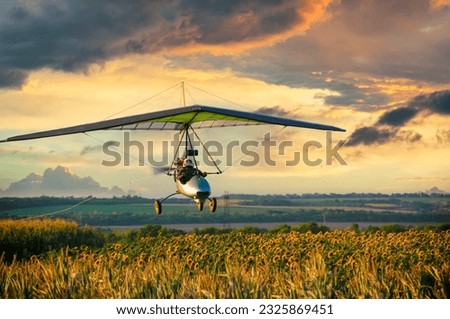 Hang glider trike wing flies low over blooming sunflower field on the sunset. Dream of flying. Beauty of flying and learning to fly