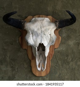 Hanged Cow Skull Horns On Green Stock Photo 1841935117 | Shutterstock