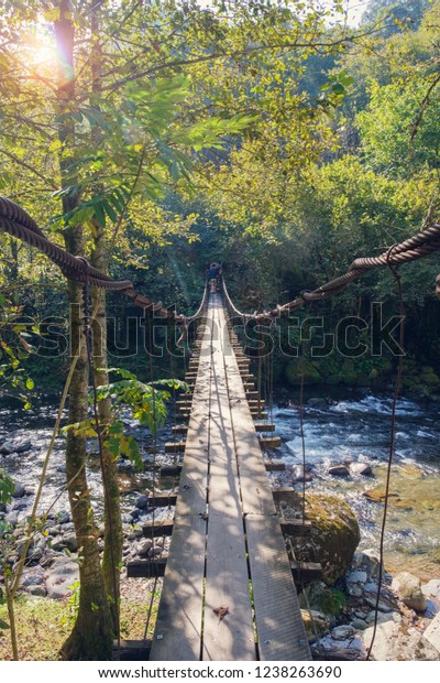 Hanged rope\
bridge over the river in the\
forest