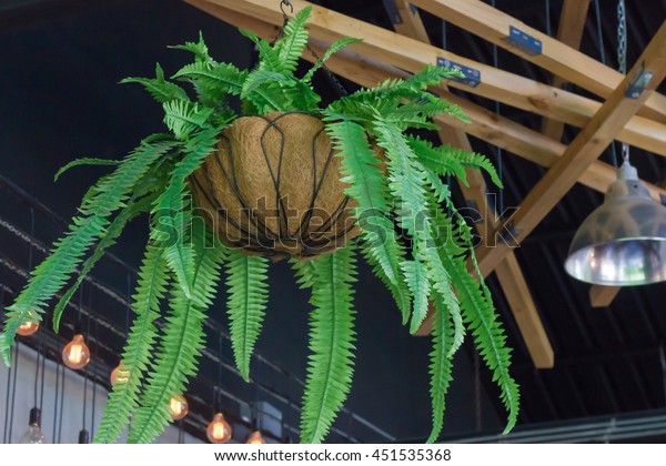 Hanging Artificial Green Plants Pots Ceiling Stock Photo