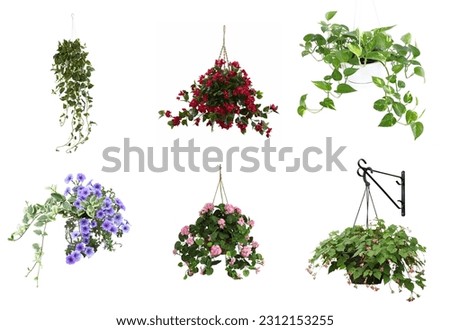Hanging basket flower display on a pole in front of a  wall