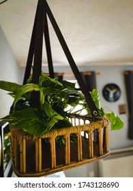 Hanging Basket With Flowers Inside