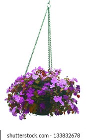 Hanging Basket Of Flowers Isolated On White Background