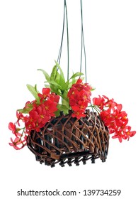 Hanging Basket Of Flowers Isolated On White Background