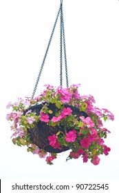 Hanging Basket Of Flowers Isolated On White Background