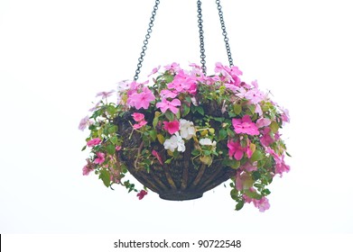 Hanging Basket Of Flowers Isolated On White Background